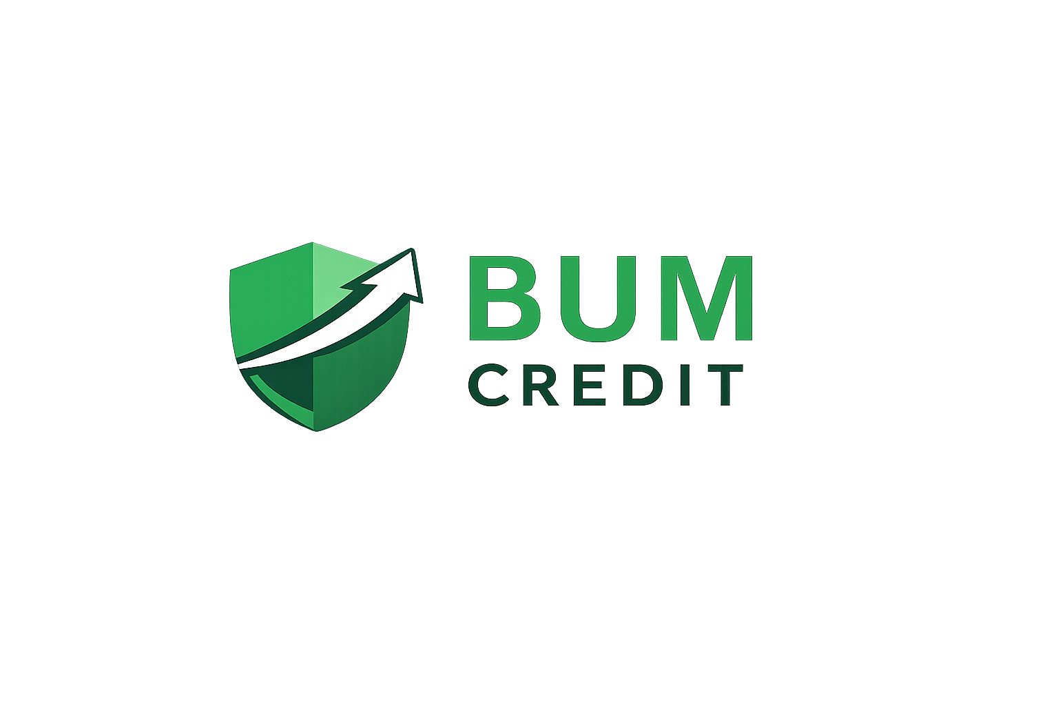 BUM Credit Logo
